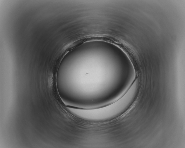 X0000113061161200908281128