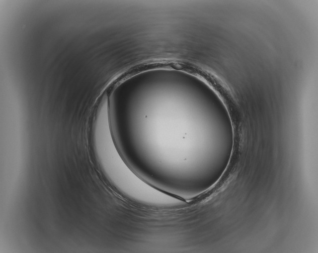 X0000113061162200908281128