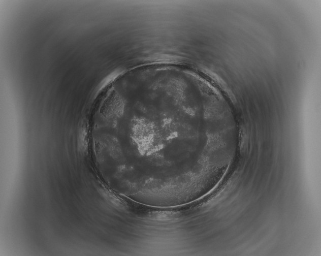 X0000113061163200908281128