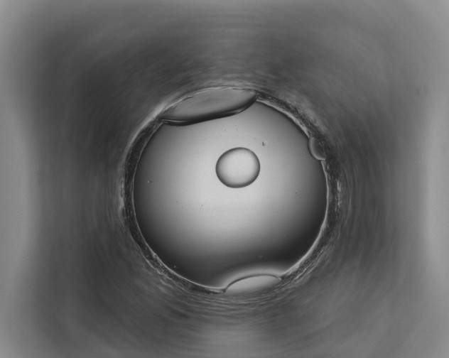 X0000113061165200908281128