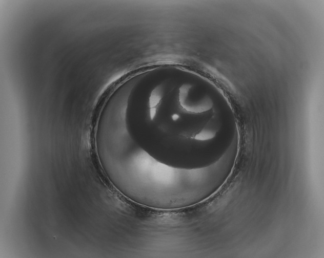 X0000113061166200908281128