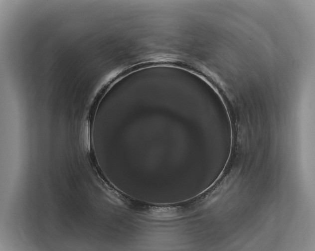 X0000113061171200908281128