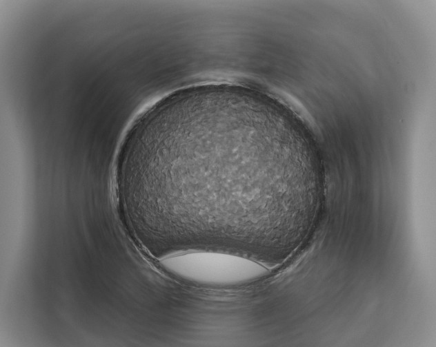 X0000113061172200908281128