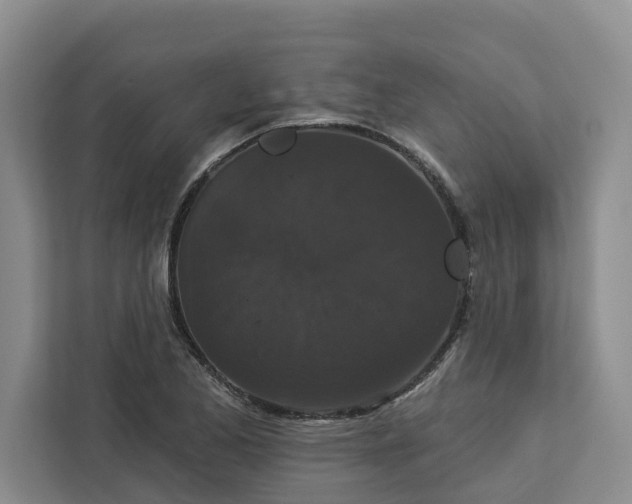 X0000113061173200908281128