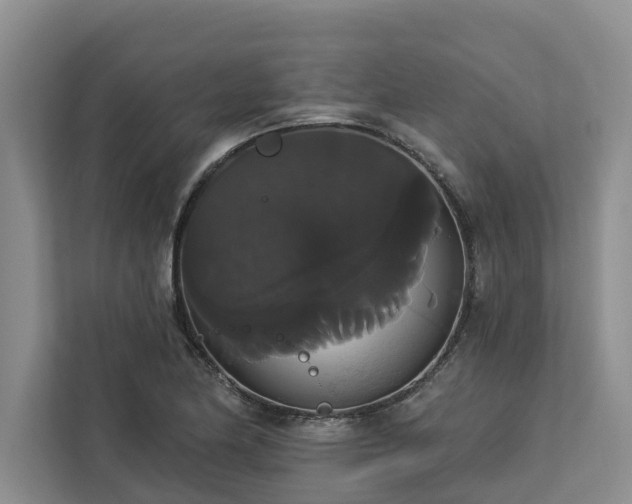 X0000113061174200908281128