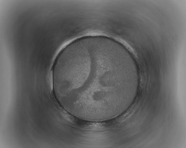 X0000113061175200908281128