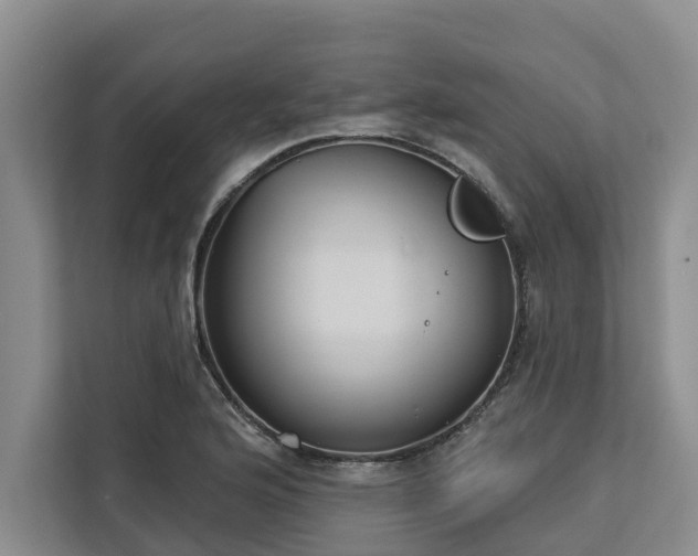X0000113061176200908281128