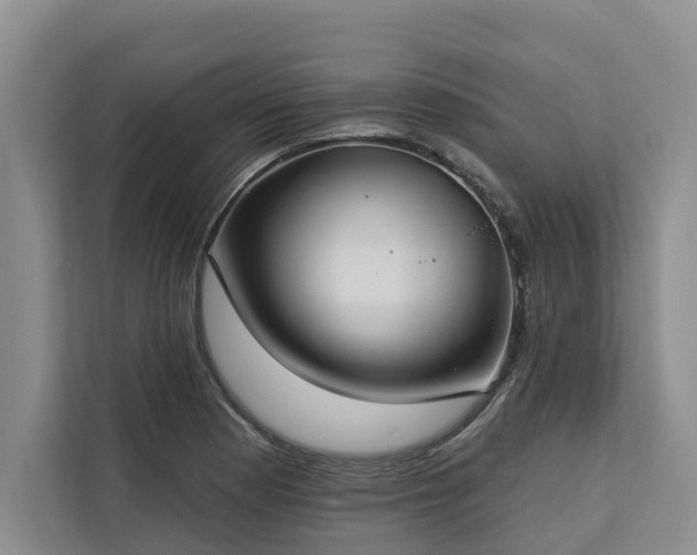 X0000113061177200908281128