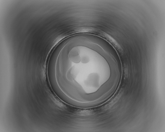 X0000113061178200908281128