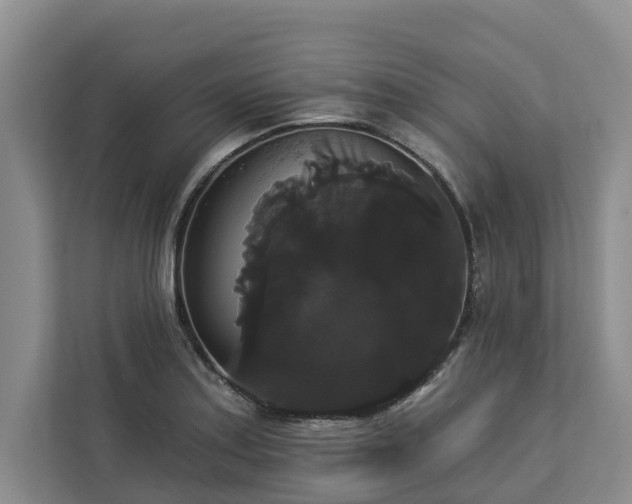 X0000113061179200908281128
