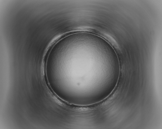X0000113061180200908281128
