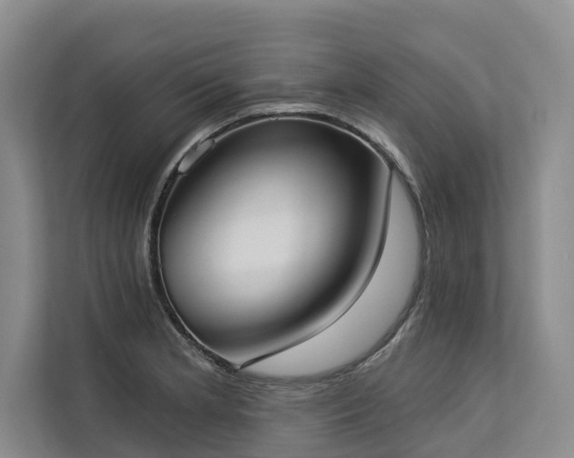 X0000113061181200908281128
