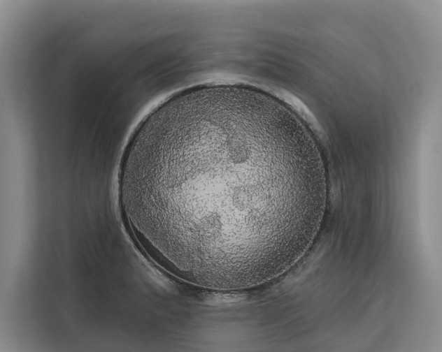 X0000113061183200908281128