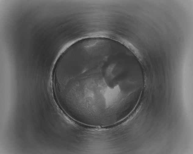 X0000113061184200908281128