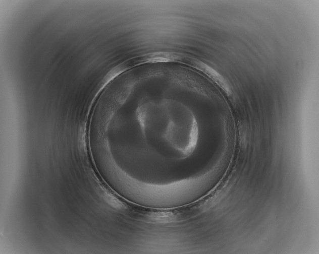 X0000113061186200908281128