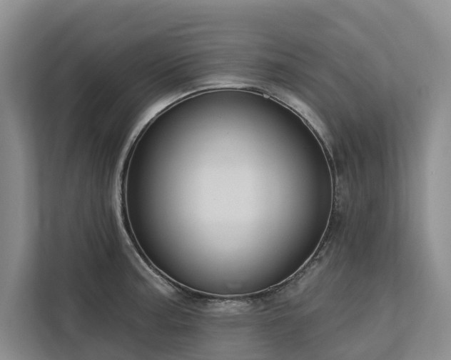X0000113061187200908281128