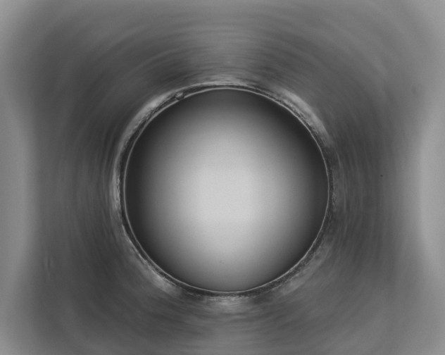 X0000113061188200908281128