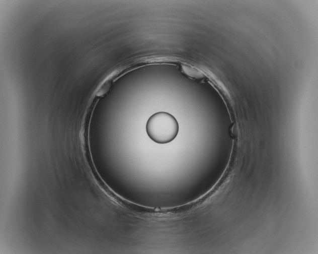 X0000113061189200908281128
