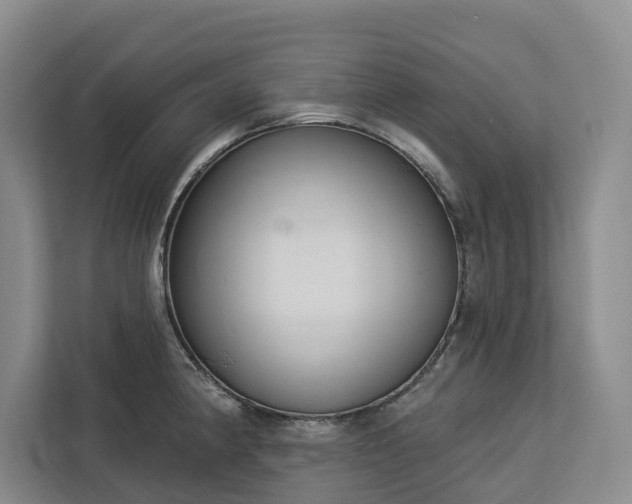 X0000113061190200908281128