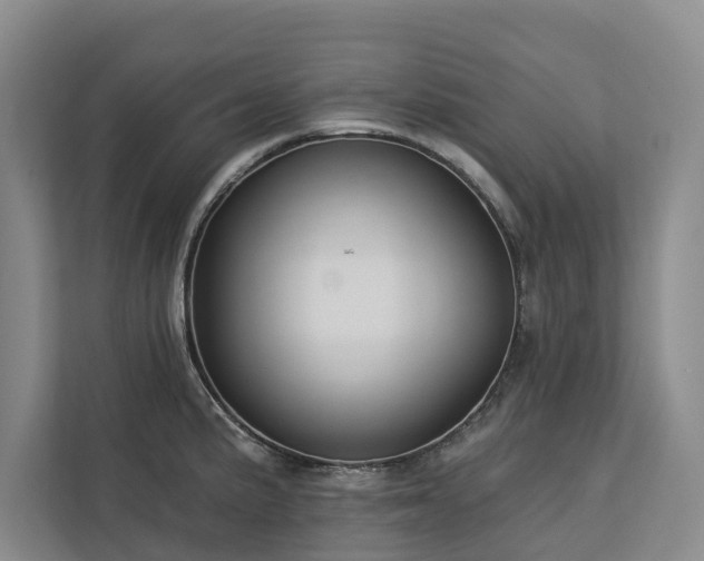 X0000113061191200908281128