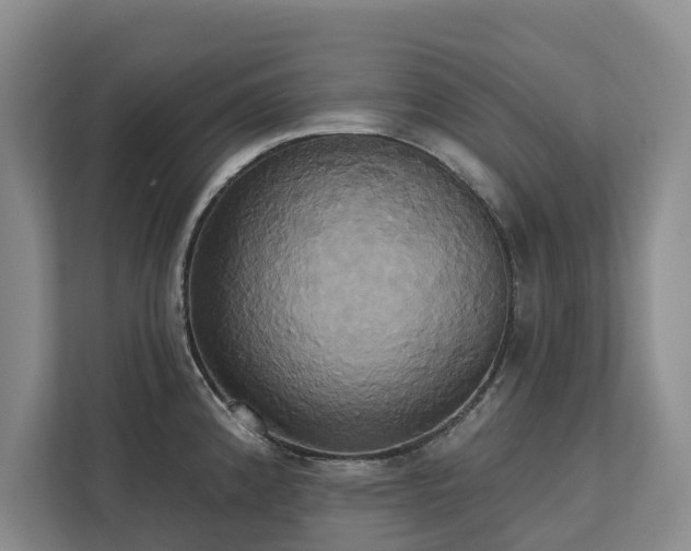 X0000113061192200908281128