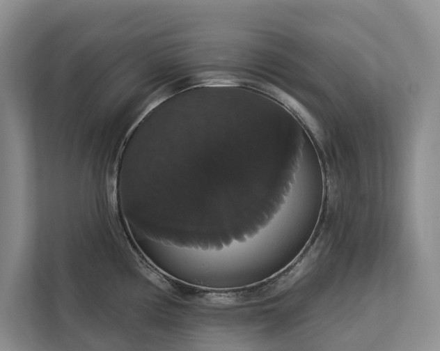 X0000113061194200908281128