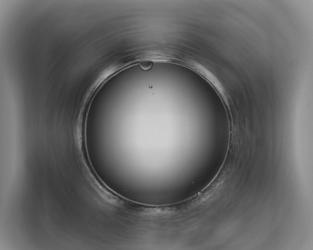 X0000113061195200908281128