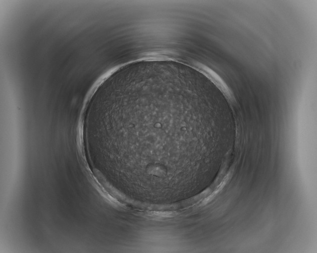 X0000113061196200908281128