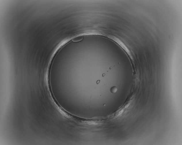 X0000113061197200908281128