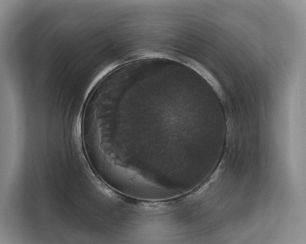 X0000113061198200908281128