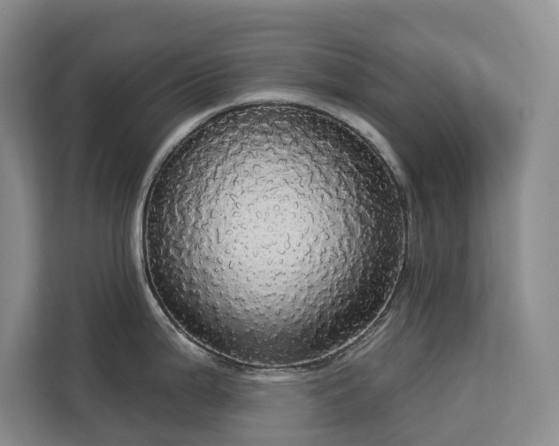 X0000113061199200908281128