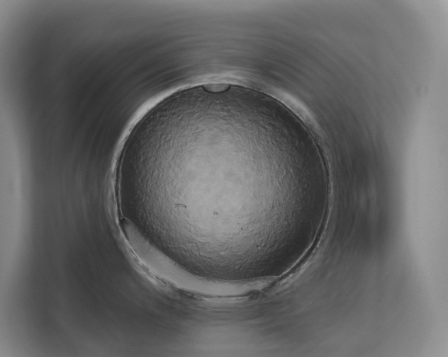 X0000113061200200908281128