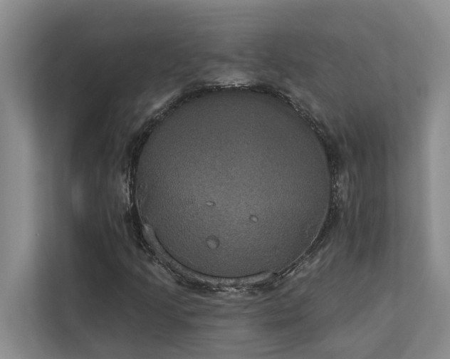X0000113061205200908281127