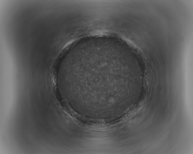 X0000113061206200908281127