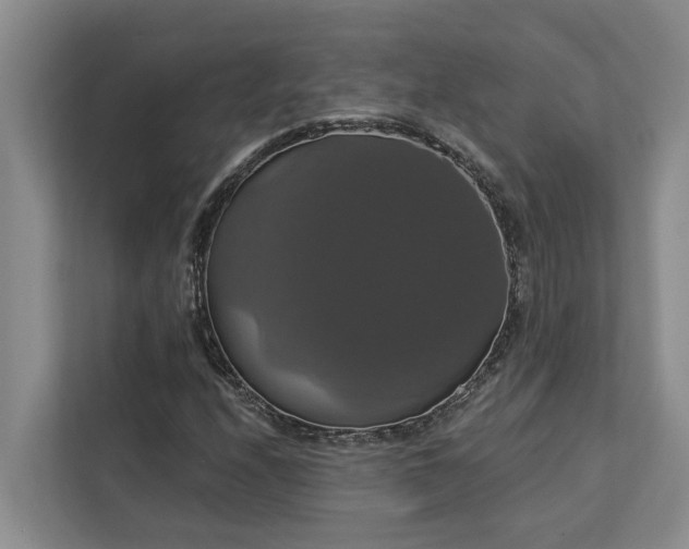 X0000113061208200908281127