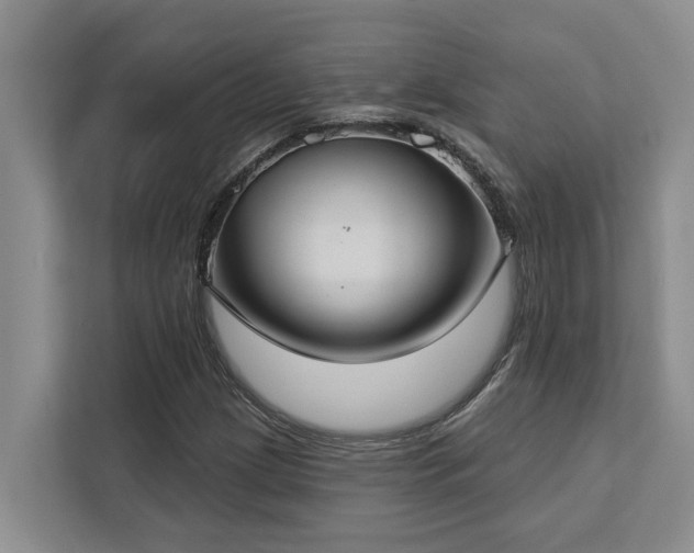 X0000113061209200908281127