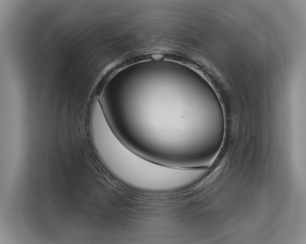 X0000113061210200908281127