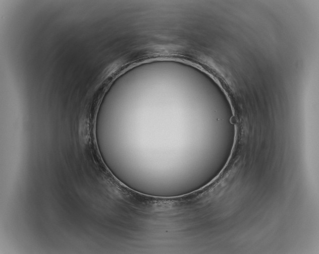 X0000113061211200908281127