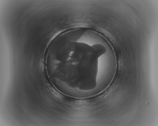 X0000113061212200908281127