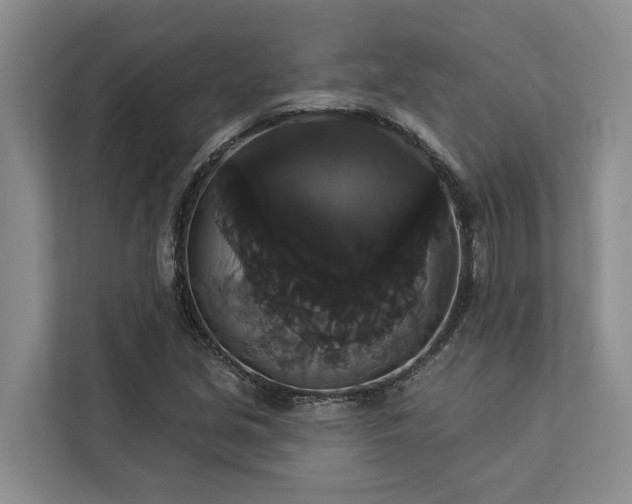 X0000113061213200908281127