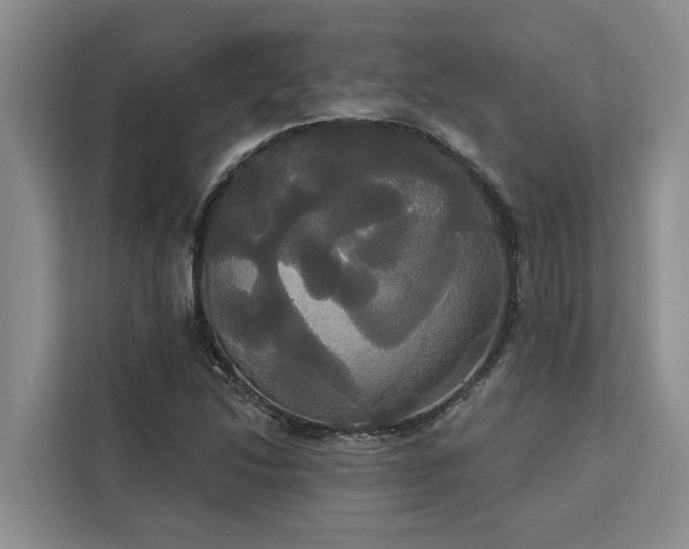 X0000113061214200908281127