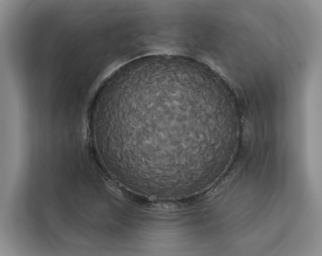 X0000113061215200908281127
