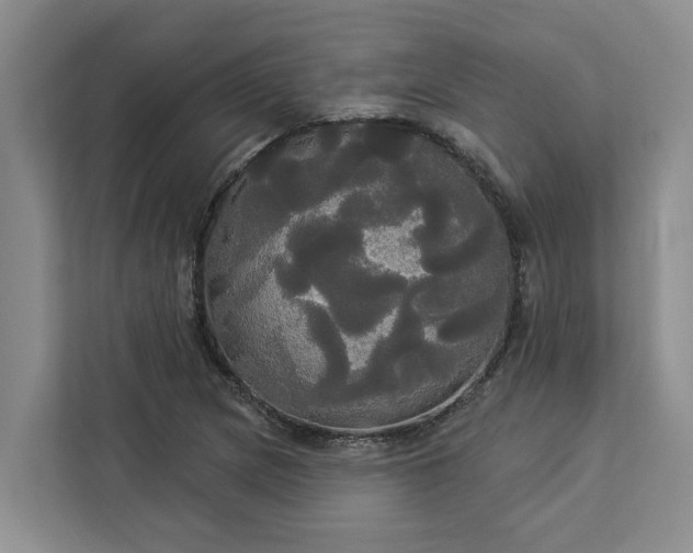 X0000113061217200908281127