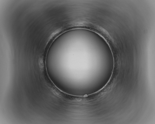 X0000113061218200908281127