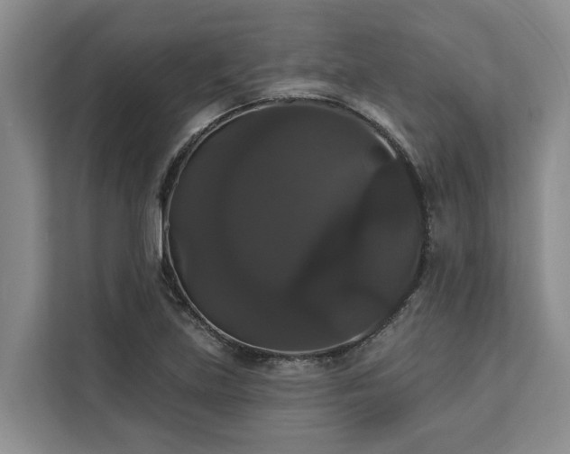 X0000113061219200908281127
