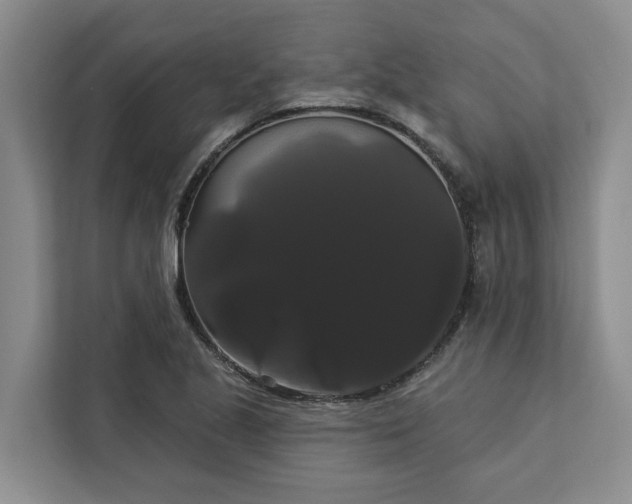 X0000113061221200908281127