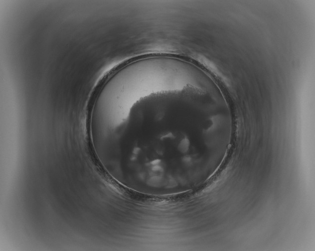 X0000113061222200908281127