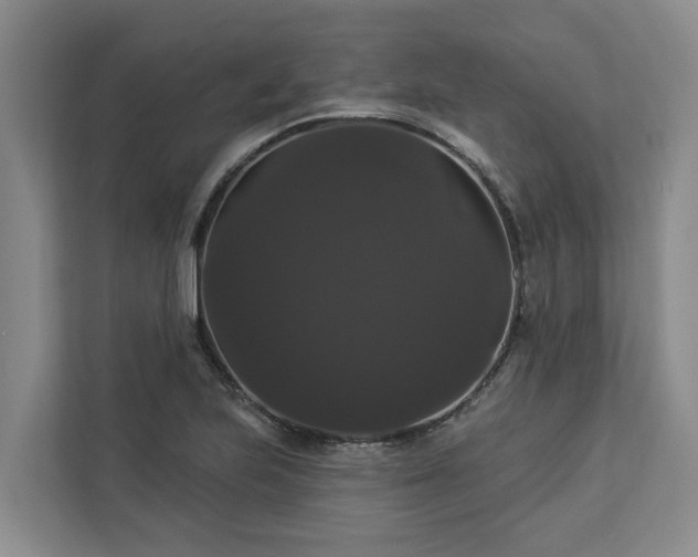 X0000113061223200908281127