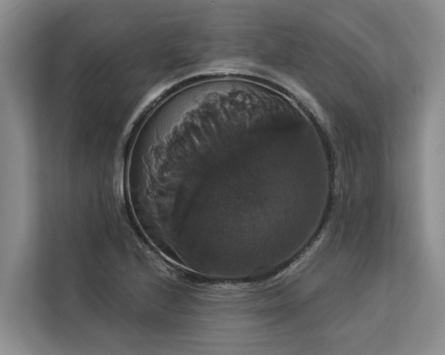 X0000113061224200908281127