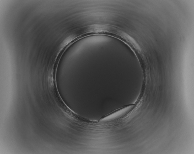 X0000113061226200908281127
